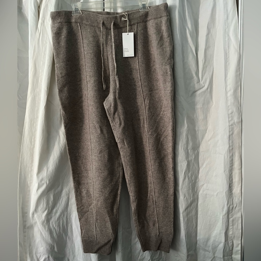 NWT haven cashmere joggers